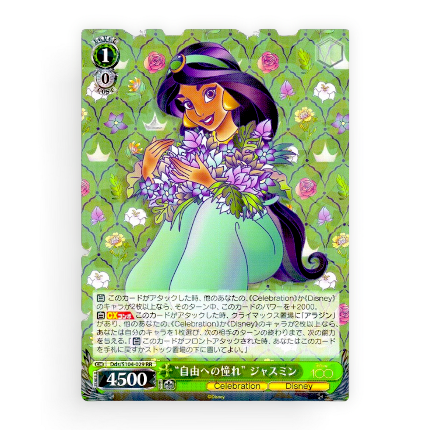 Jasmine Dds/S104-029 RR