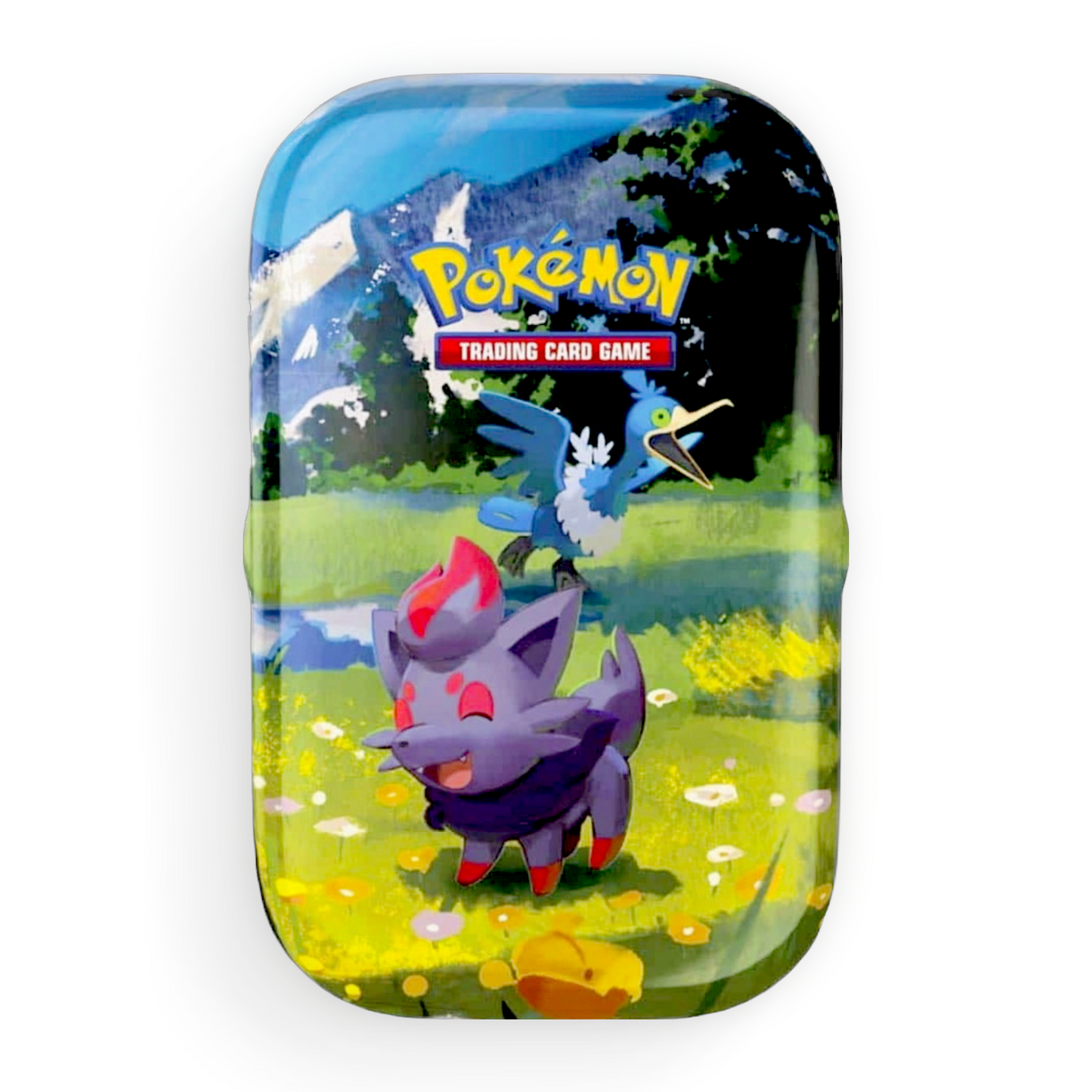 Ascended Heroes Mini Tins - Empty