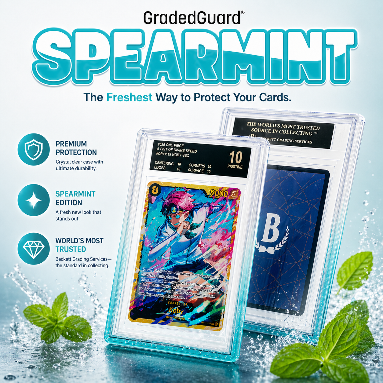 GradedGuard Limited Edition (BGS) | Spearmint - PokeMooseTCG LLC